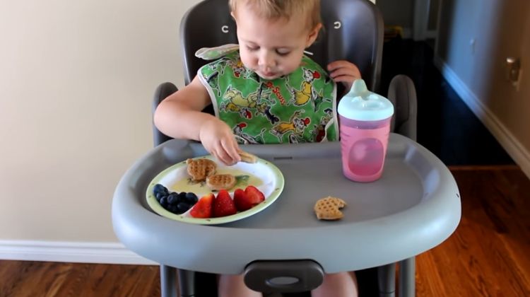 Best Baby High Chairs